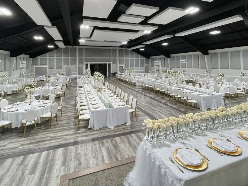 Wedding & Banquet Case Study — Gold PU Velvet Round-Back Stainless Steel Chairs